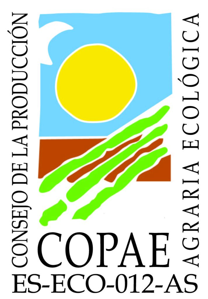 LOGOCOPAE